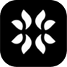 reveal-image-link